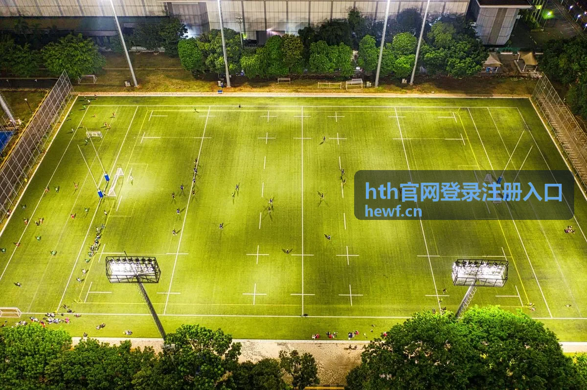 hth官网登录注册入口账号登录页面示意